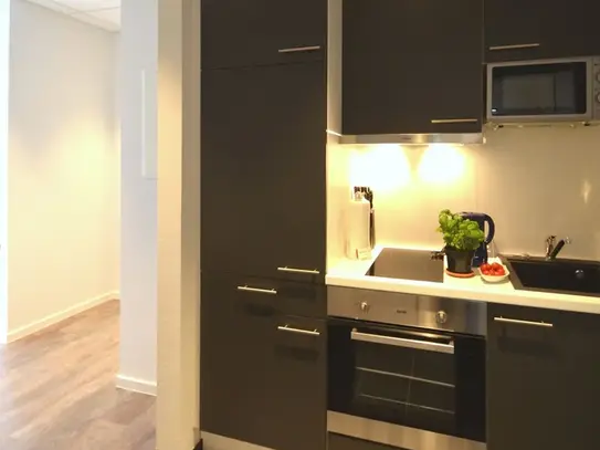 2-room apartment fully equipped in Frankfurt am Main, Frankfurt - Amsterdam Apartments for Rent