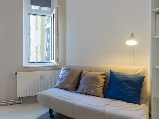 Nice quiet studio in Prenzlauer Berg