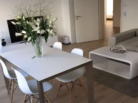 Gorgeous luxury studio in Stuttgart, Stuttgart - Amsterdam Apartments for Rent