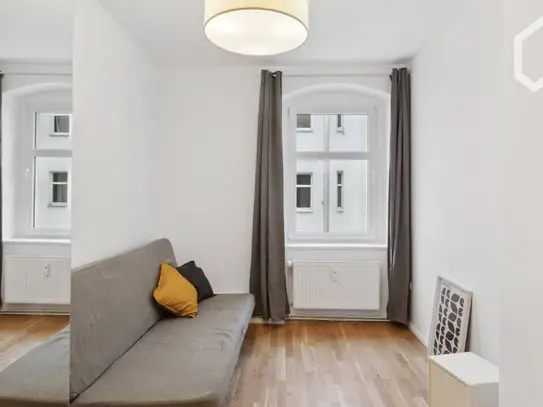 Top Location (Mauerpark) and quiet, Berlin - Amsterdam Apartments for Rent