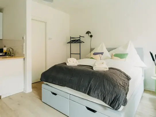 Boutique-Style Micro Apartment