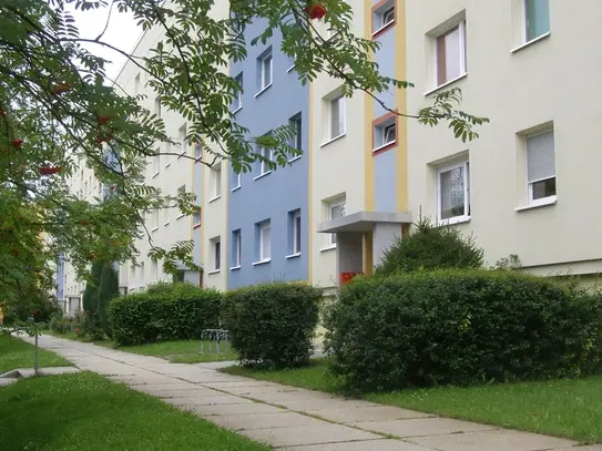 Sanierte 3 Zimmer am grünen Rand mit Blick auf den Stadtwald