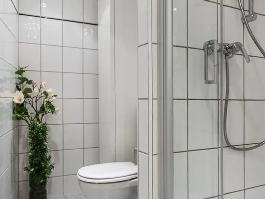 New, gorgeous central city apartment in Düsseldorf, Dusseldorf - Amsterdam Apartments for Rent