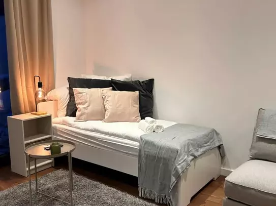 Cozy studio apartment