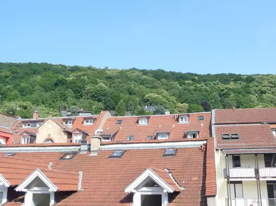 Beautiful west town apartment in Heidelberg with Gaisberg view!