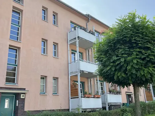 Frisch sanierte 3 Zimmer Wohnung im 1. OG