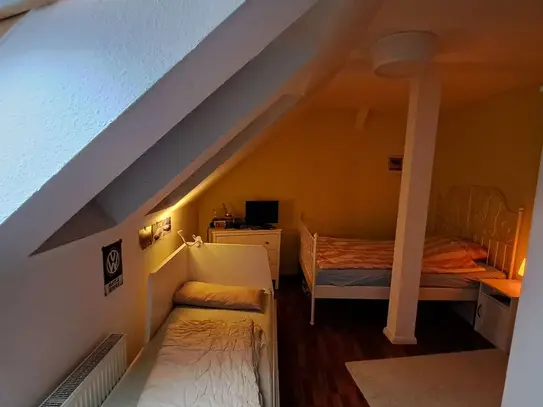 Lovely & new loft in Köpenick, Berlin - Amsterdam Apartments for Rent