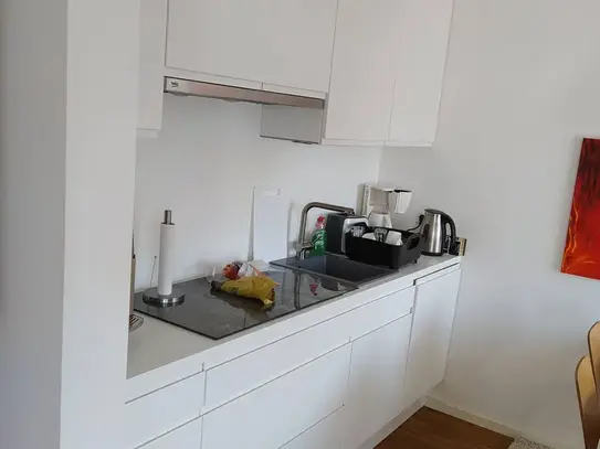 Beautiful, high quality furnished 4 - room apartment in Hanover, Hannover - Amsterdam Apartments for Rent