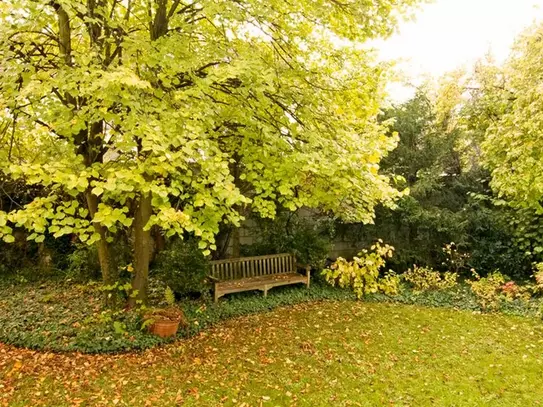 Idyllic & lovely garden view Apartment