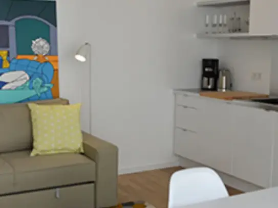 Modern and high quality furnished apartment