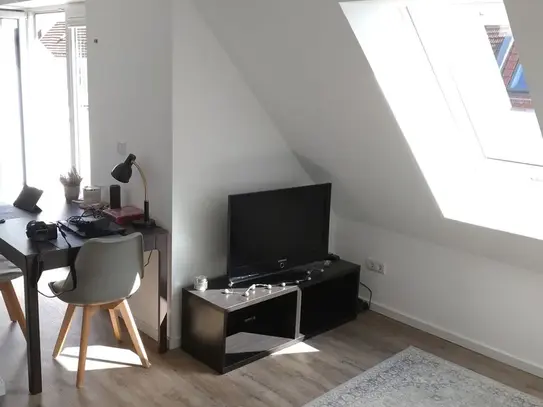 Fantastic rooftop apartment in Friedrichshain, Berlin - Amsterdam Apartments for Rent