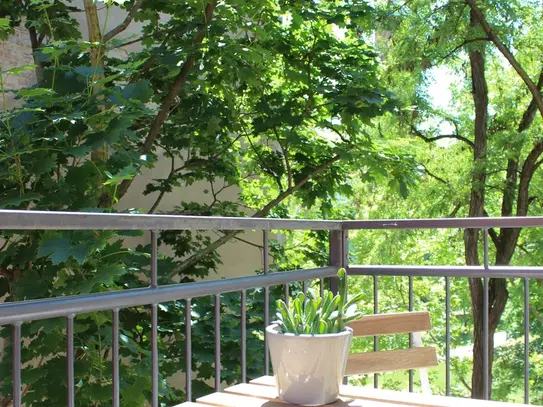 Cozy, bright suite with two balconies