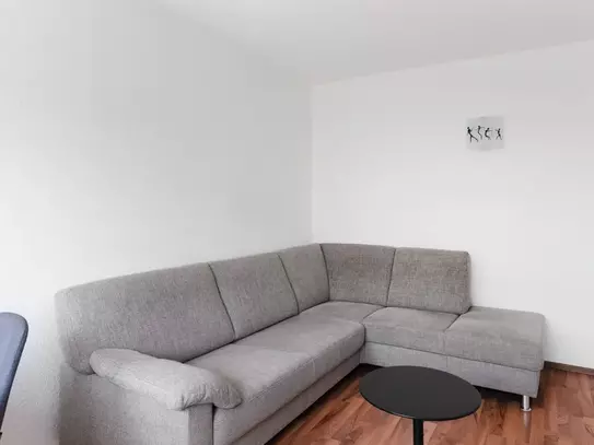 Fashionable and quiet apartment locates in Frankfurt am Main