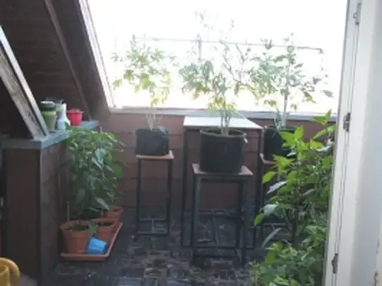 Altbau Wohnung mit Dachterrasse im Univiertel