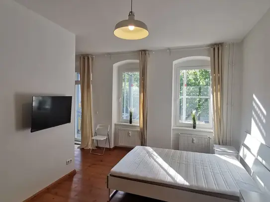 1 room apartment (fully furnished) in a quiet street next to the river