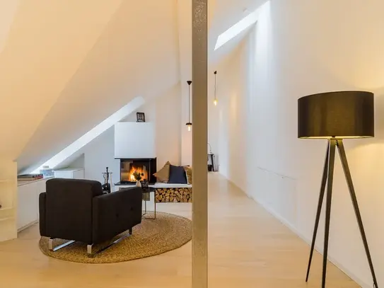 charming luxury apartment in Berlin Mitte with fireplace and 2 terraces