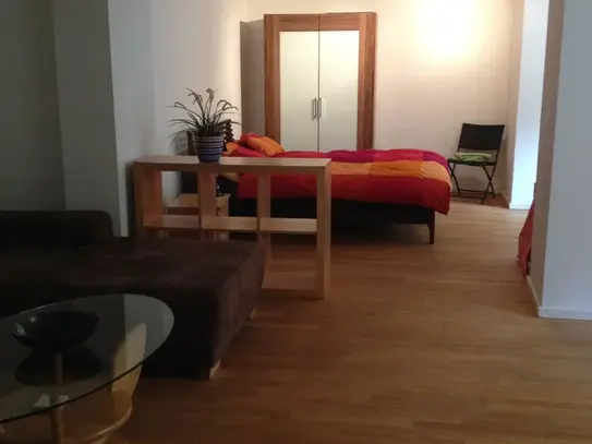 Great & neat apartment (Frankfurt am Main), Frankfurt - Amsterdam Apartments for Rent