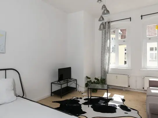 Cute & bright home in Prenzlauer Berg (Berlin)