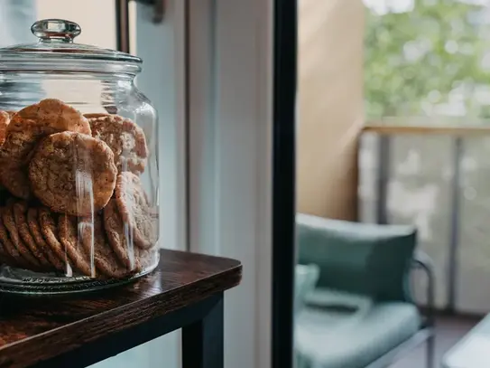 Cozy new apartment in the heart of Dresden