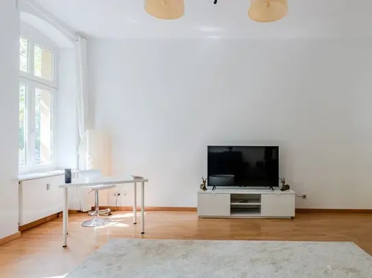 Stunning and Spacious in Mitte, Berlin - Amsterdam Apartments for Rent