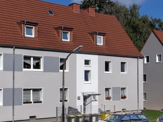 Bald verfügbar! Renovierte 3- Zimmer Wohnung in Dortmund Kley