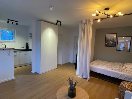 Fully furnished 1-room apartment with parking space, fitted kitchen and balcony in Reutlingen