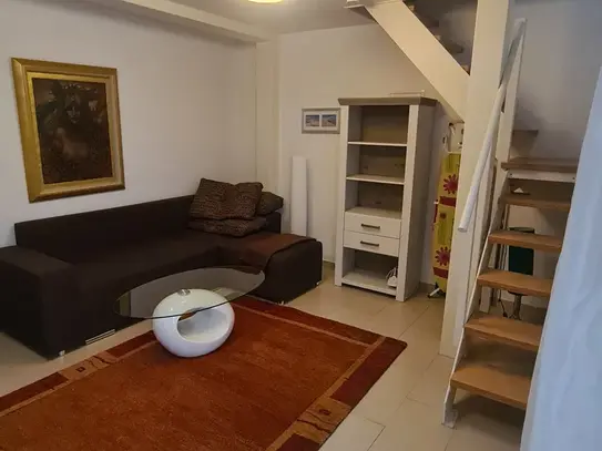 Cozy Apartment to rent