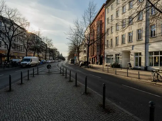 Cozy luxury flat in the heart of Berlin-Mitte