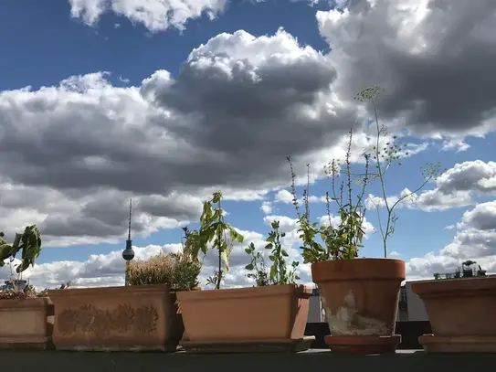 Quiet flat in Mitte with sunny balcony