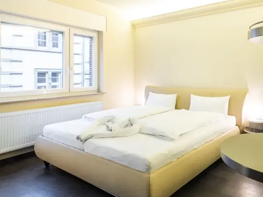 Cozy & wonderful apartment in Heidelberg, Heidelberg - Amsterdam Apartments for Rent