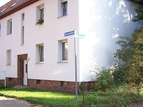 Geräumige 2-Raumwohnung in Merseburg zu vermieten!