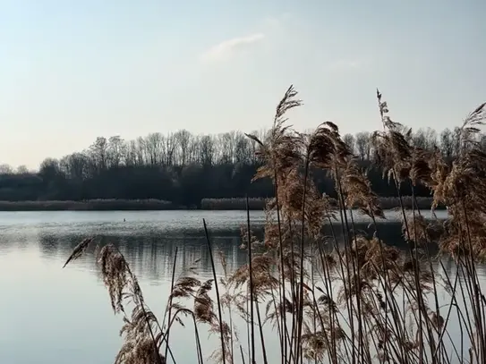 Zentrale Lage und Natur pur: Dein Rückzugsort