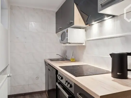 Modern Studio Apartment in Frankfurt am Main, Frankfurt - Amsterdam Apartments for Rent