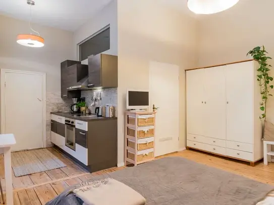 Apartment perfectly located in Friedrichshain, Berlin - Amsterdam Apartments for Rent