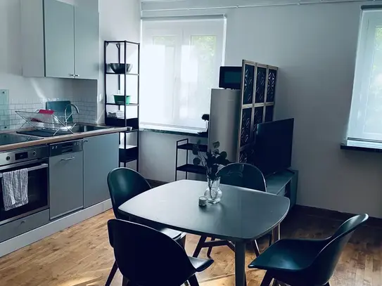 apartment in the center of Berlin / furnished / car parking space