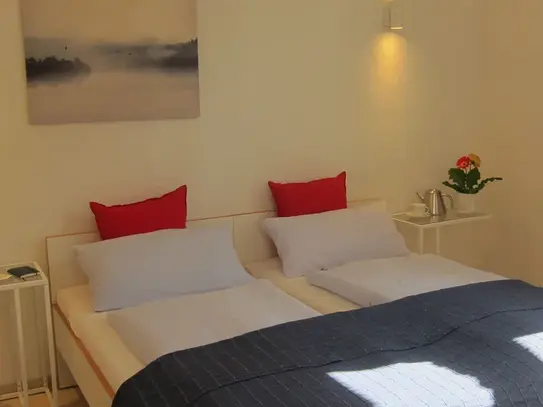 TOP-location! 3 room-apartment in historic center, private parking - university, clinics by foot