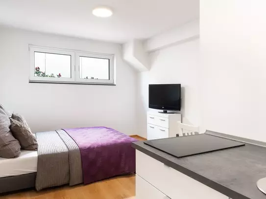 Modern basement studio with queen size box spring bed and walk-in shower