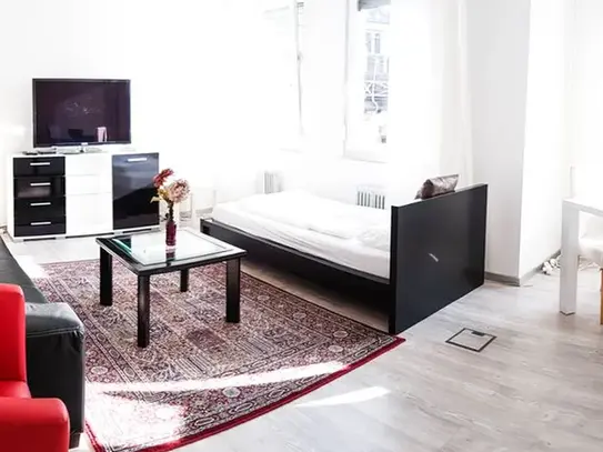 Great, new apartment (Heidelberg), Heidelberg - Amsterdam Apartments for Rent