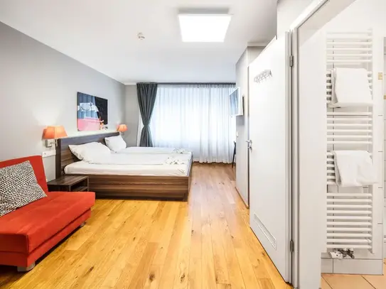 Spacious and perfect loft, Heidelberg - Amsterdam Apartments for Rent