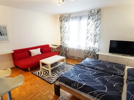 Furnished Studio in Stuttgart-Center