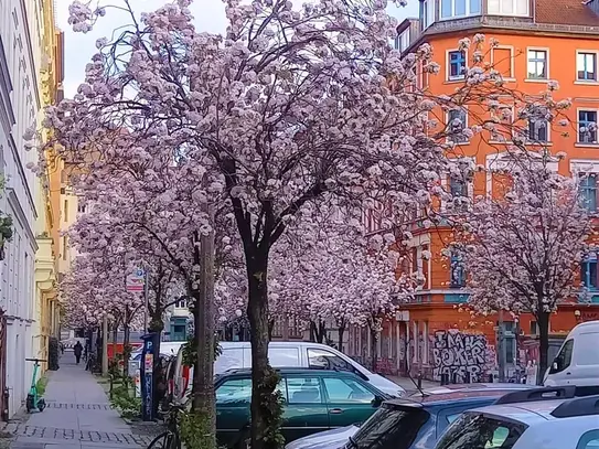 Sunny Apartment in Central Location