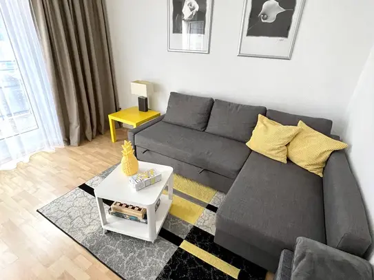 Cozy, Bright Down-town Kaiserslautern Apartment