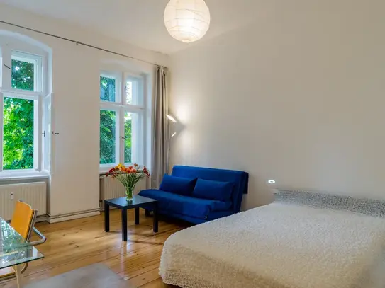 Cosy apartment in most wanted Prenzlauer berg, next to Kollwitzkiez