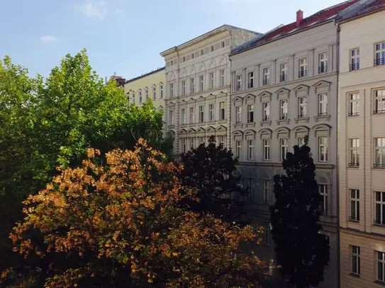 Bright 2-room apartment in Mitte/Prenzlauer Berg