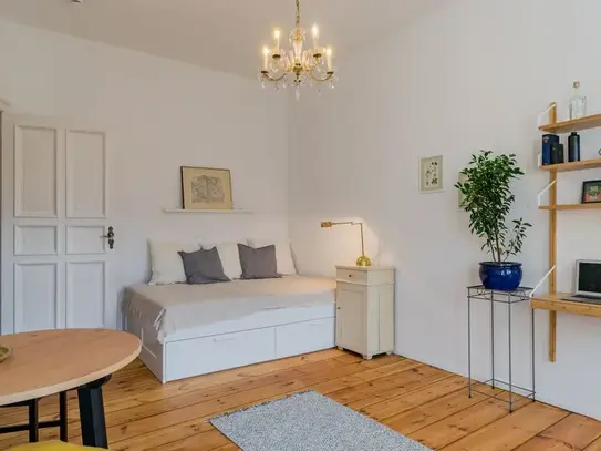 Charming Flat with Balcony and Elevator in the trendy area of Sprengelkiez, Berlin - Amsterdam Apartments for Rent