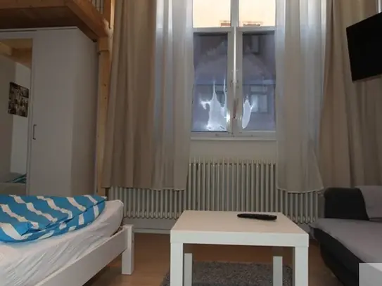 Modern business apartment in the heart of the old town – euhabitat