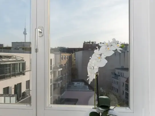 Awesome studio (Prenzlauer Berg), Berlin - Amsterdam Apartments for Rent