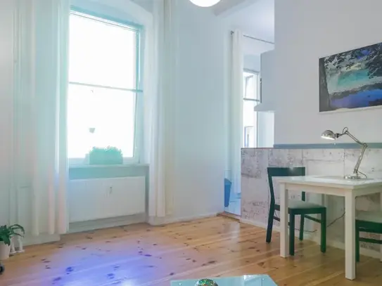 Bright, charming home in popular area, Berlin - Amsterdam Apartments for Rent