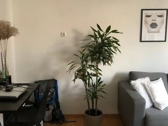 Amazing & spacious 2-room apartment in perfect location in Maxfeld, Nurnberg - Amsterdam Apartments for Rent