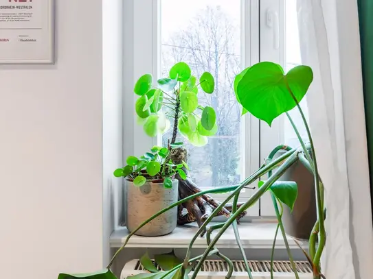 Modern apartment in Boxhagener Kiez with 2 balconies